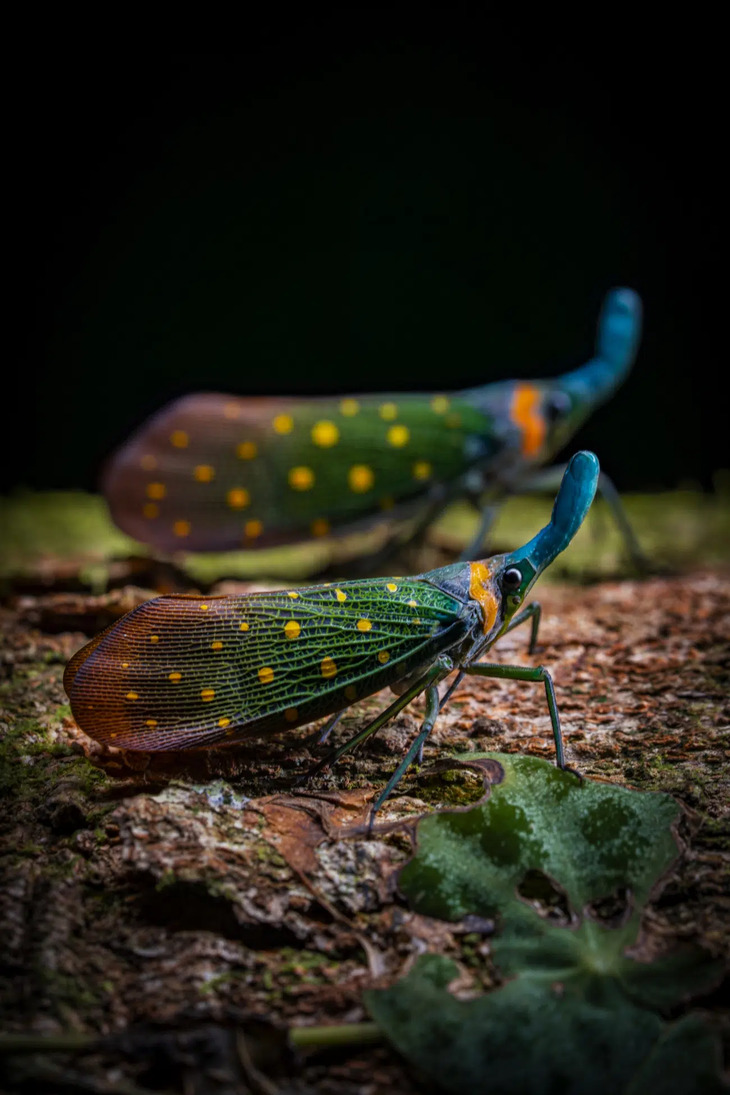  Nature Photography Awards