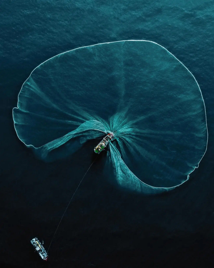  Nature Photography Awards