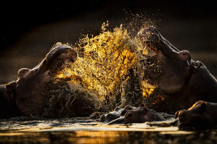  Nature Photography Awards