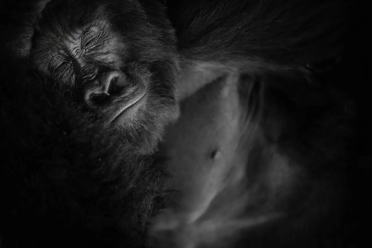  Nature Photography Awards