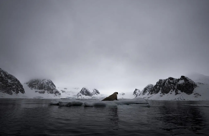  Nature Photography Awards