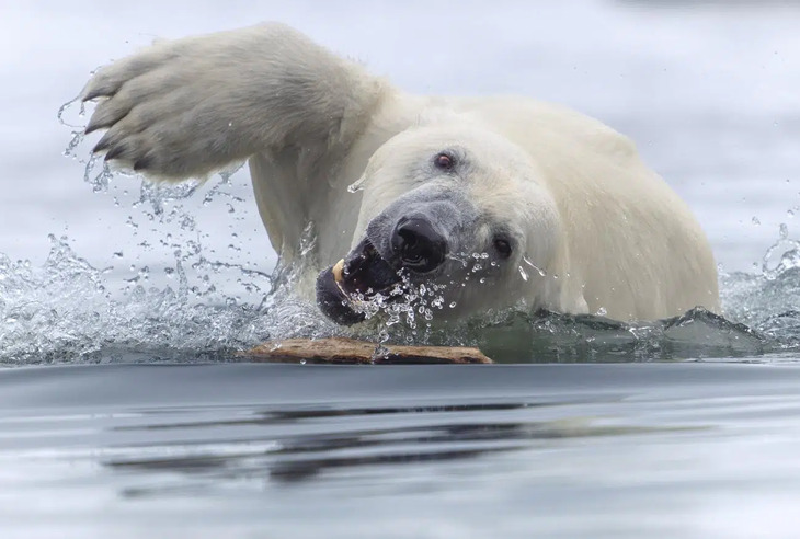  Nature Photography Awards