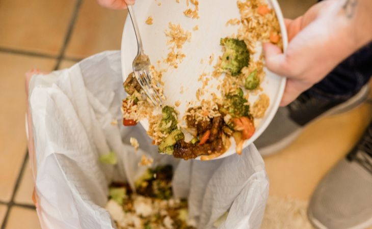 Why You Shouldn’t Leave Food Out for More Than Two Hours: Throwing Food in the Trash