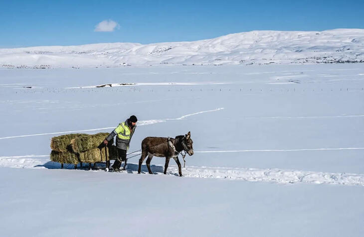 Life in Turkey’s Countryside