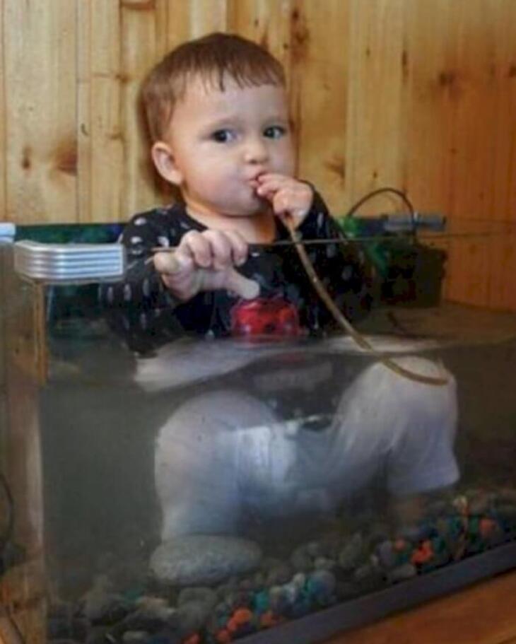 Hilarious kids