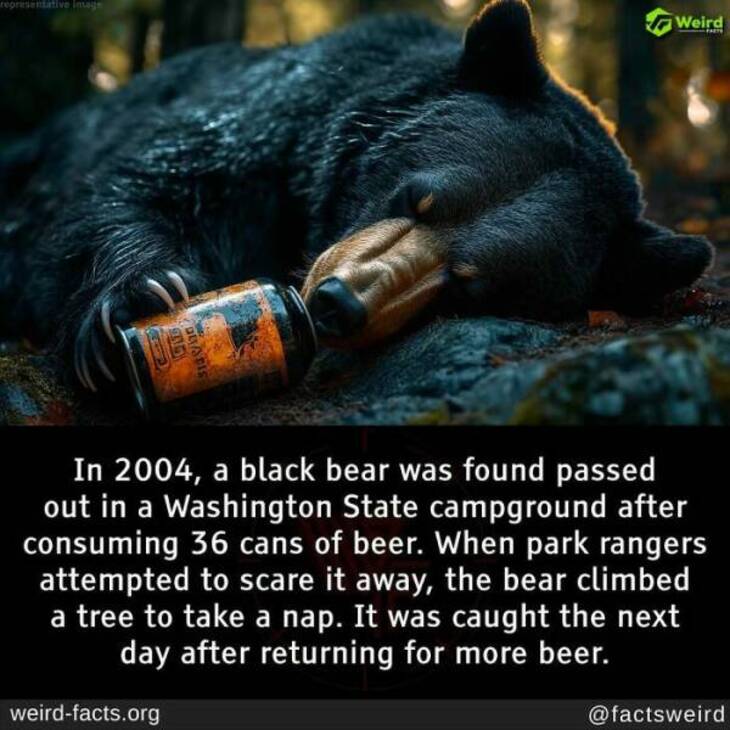 Bizarre Facts 