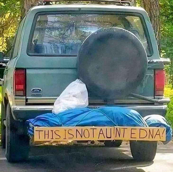 Funny Signs 