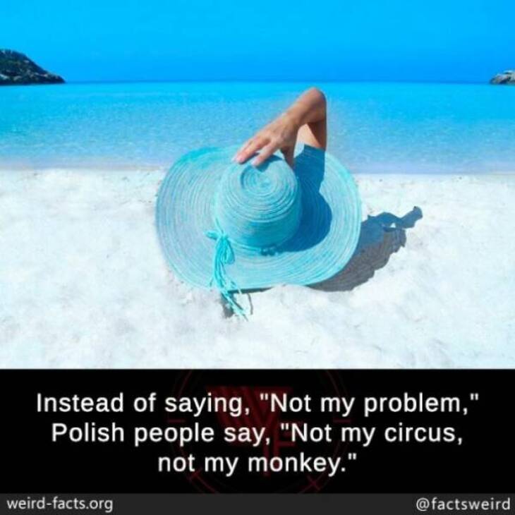 Bizarre Facts 