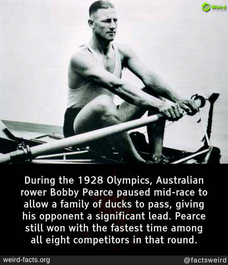 Bizarre Facts 