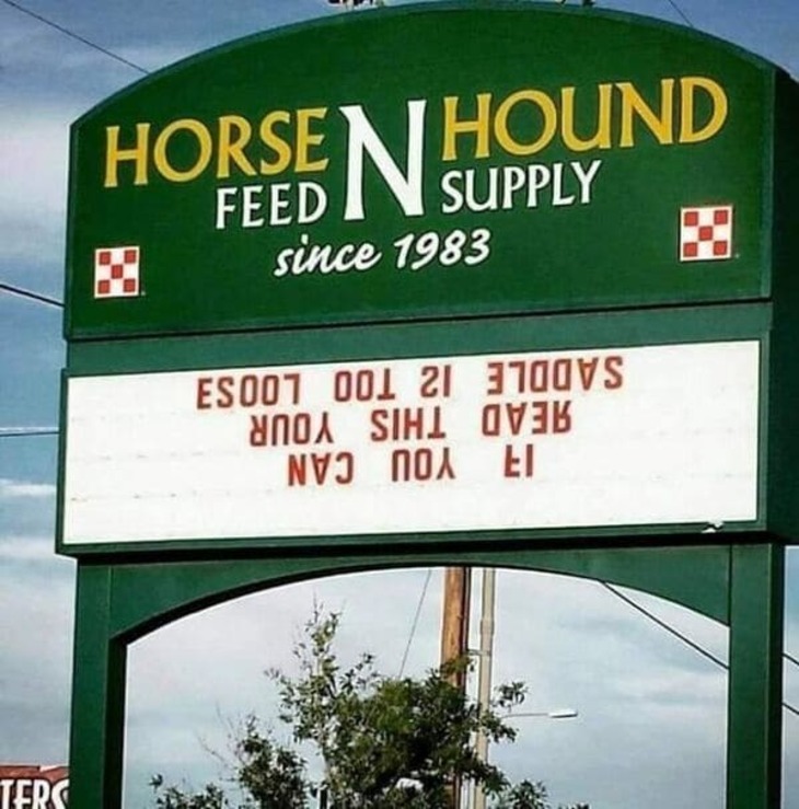 Funny Signs 