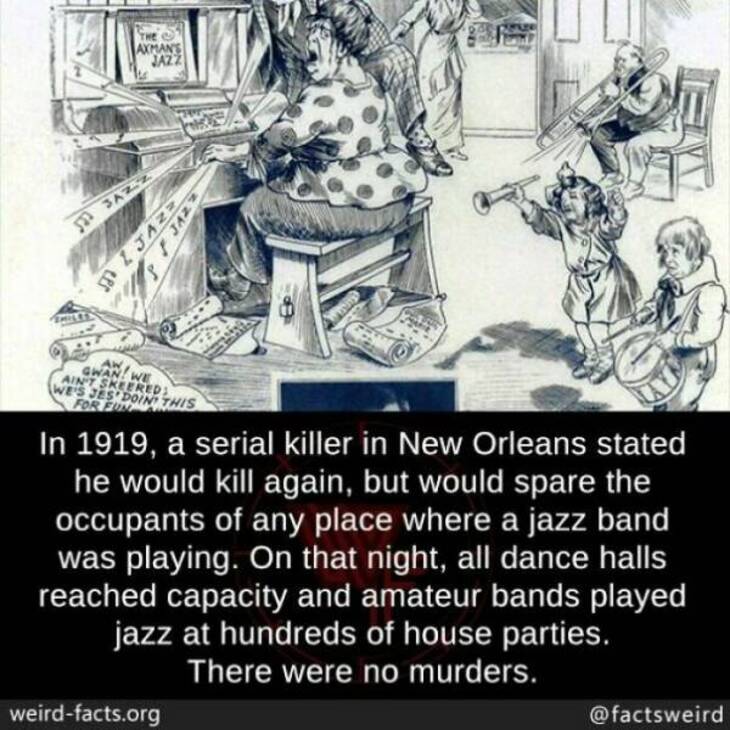 Bizarre Facts 