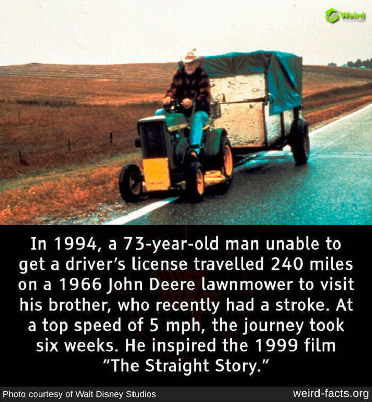 Bizarre Facts 