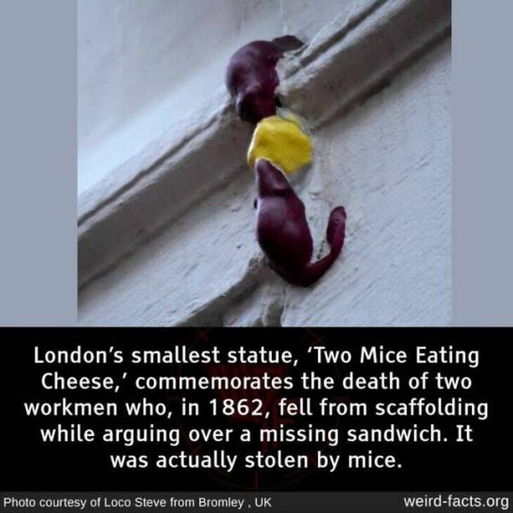Bizarre Facts 