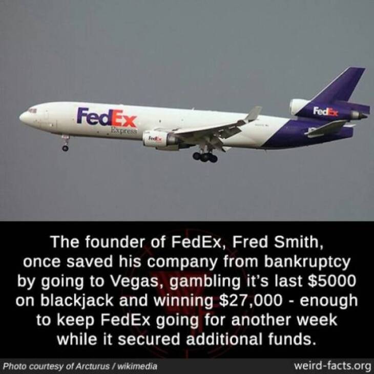 Bizarre Facts 