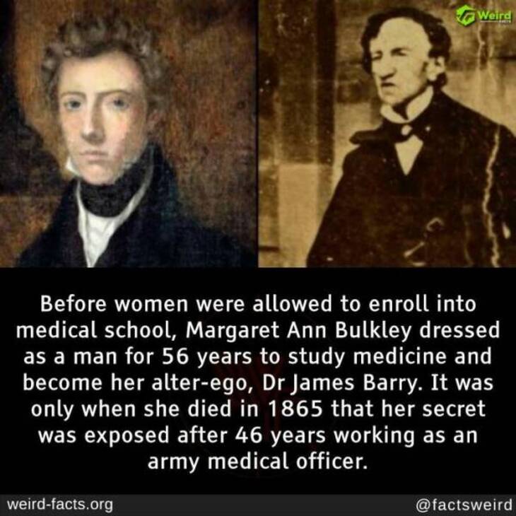 Bizarre Facts 