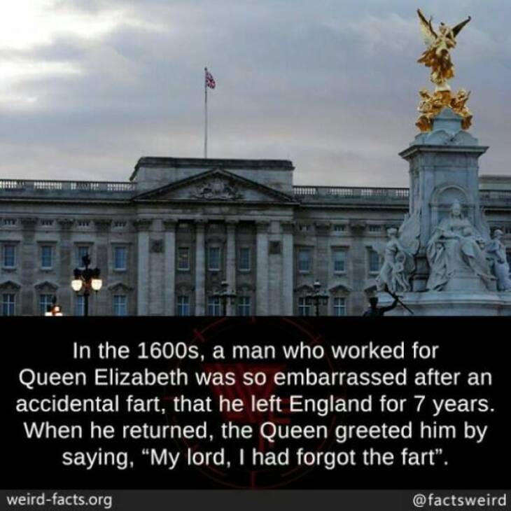 Bizarre Facts 