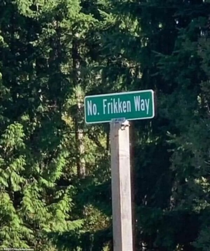 Funny Signs 