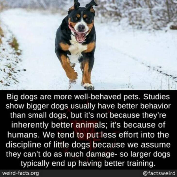 Bizarre Facts 