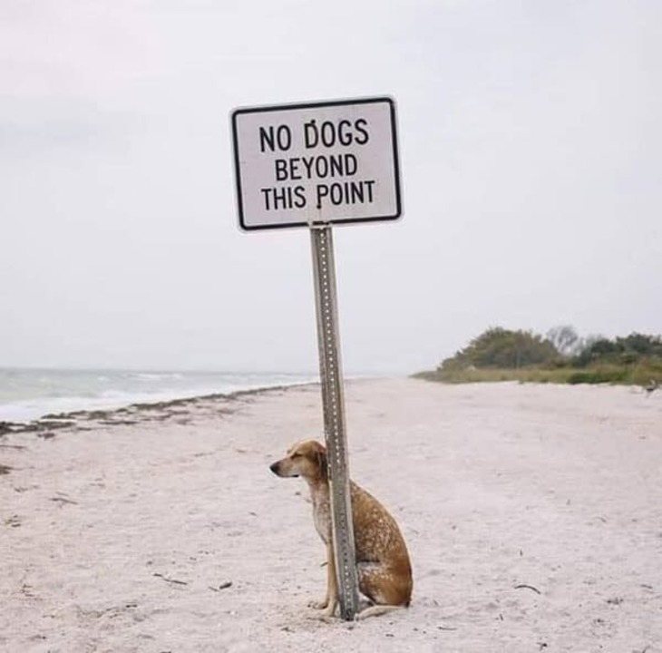 Funny Signs 