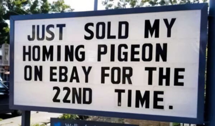 Funny Signs 