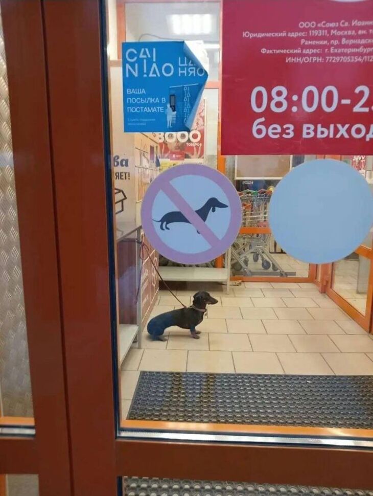 WEIRD SIGNS