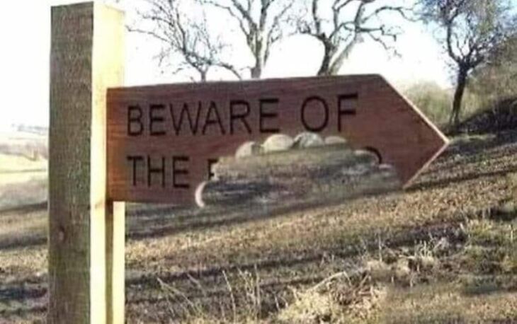 WEIRD SIGNS
