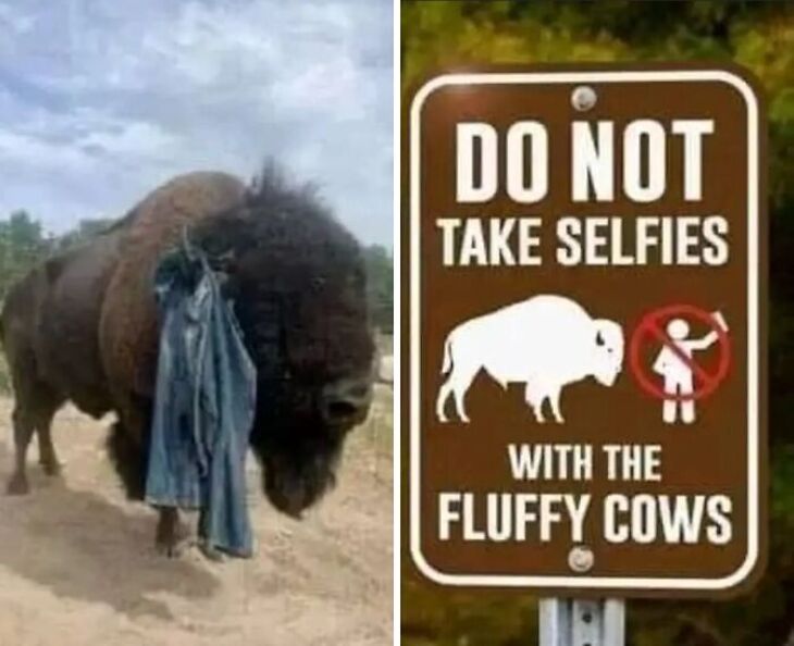 WEIRD SIGNS