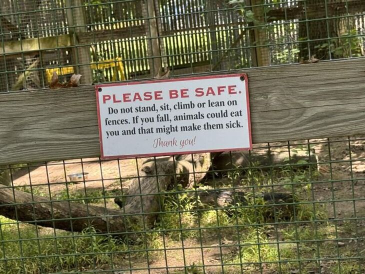 WEIRD SIGNS