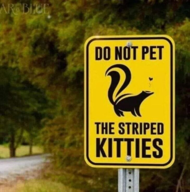 WEIRD SIGNS