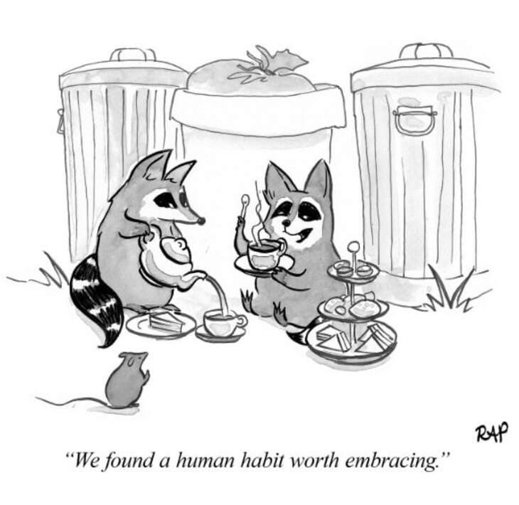 Animal comics