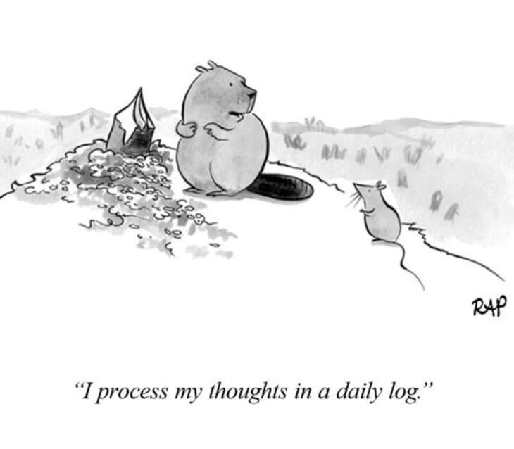 Animal comics