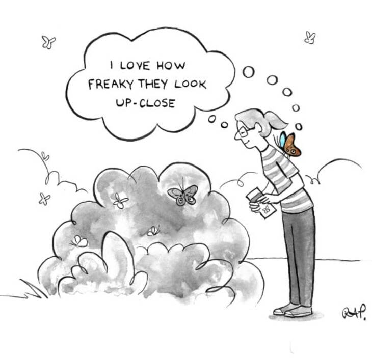Animal comics