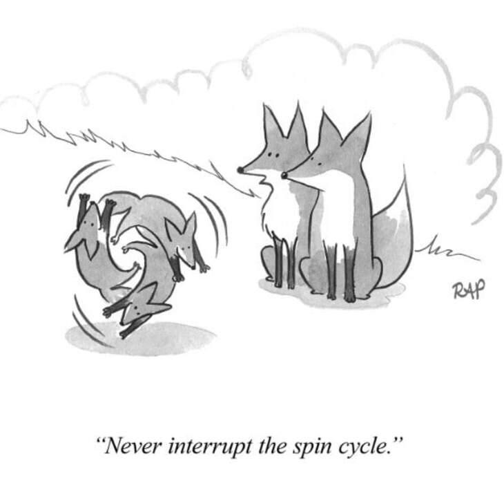 Animal comics