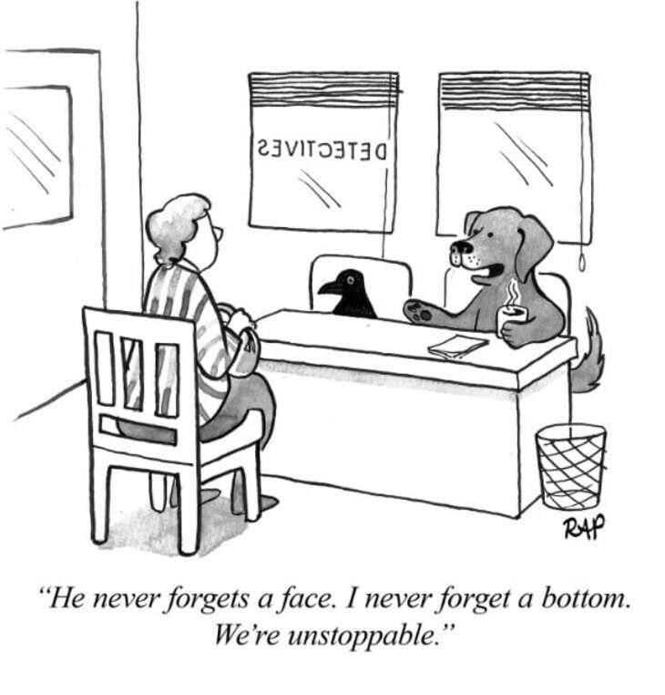 Animal comics