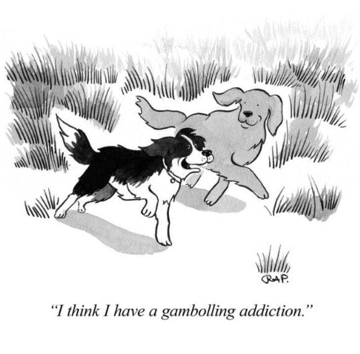 Animal comics