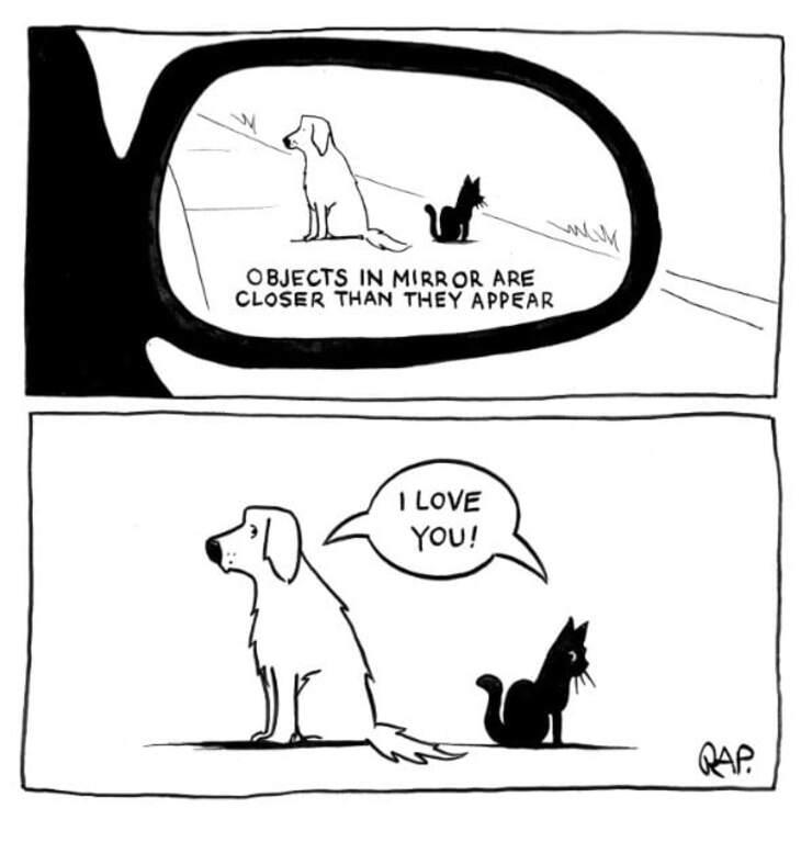 Animal comics