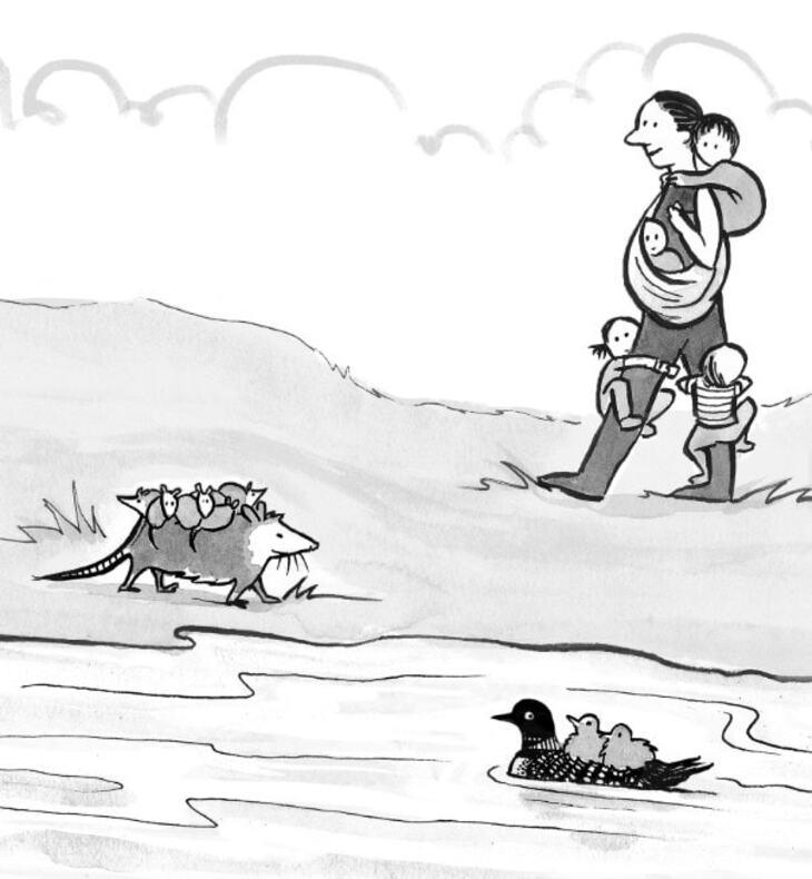 Animal comics