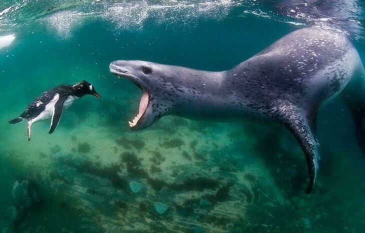 Ocean Moments
