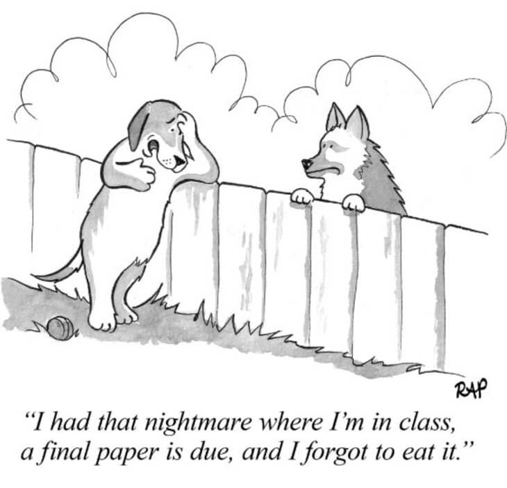 Animal comics