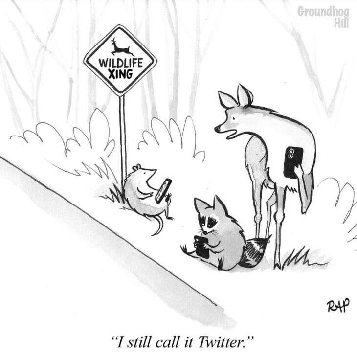 Animal comics