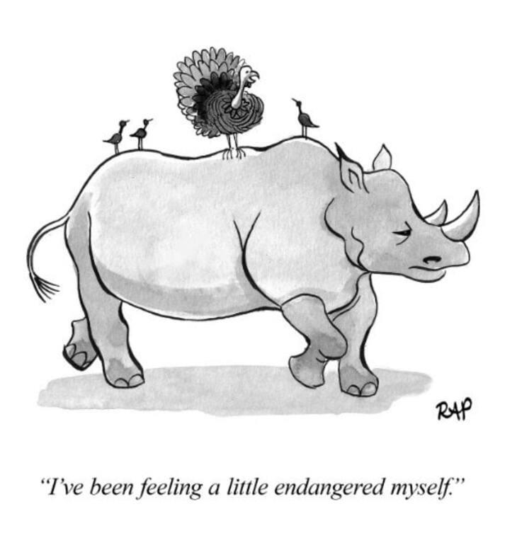 Animal comics