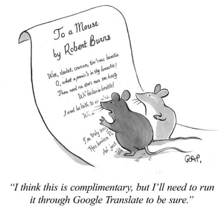 Animal comics