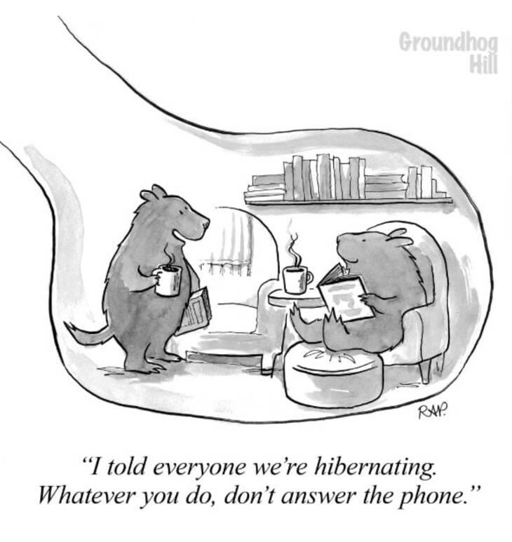 Animal comics