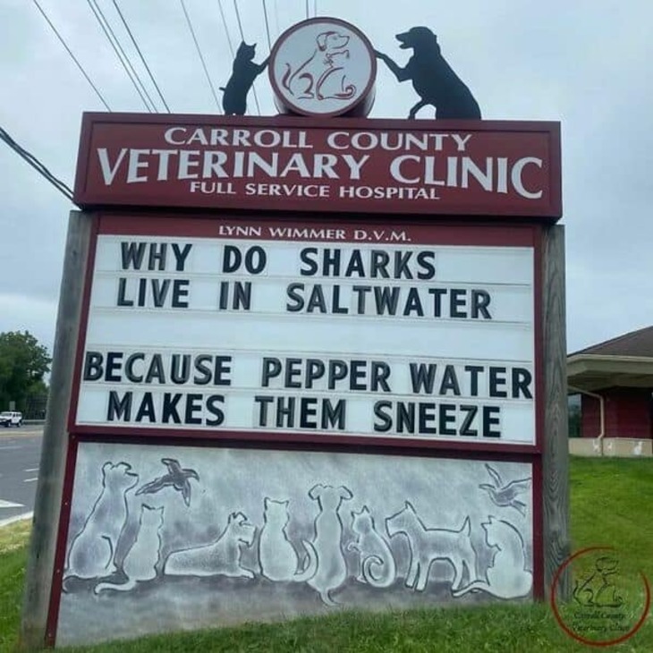 Funniest Vet Signs 