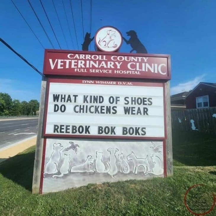 Funniest Vet Signs 