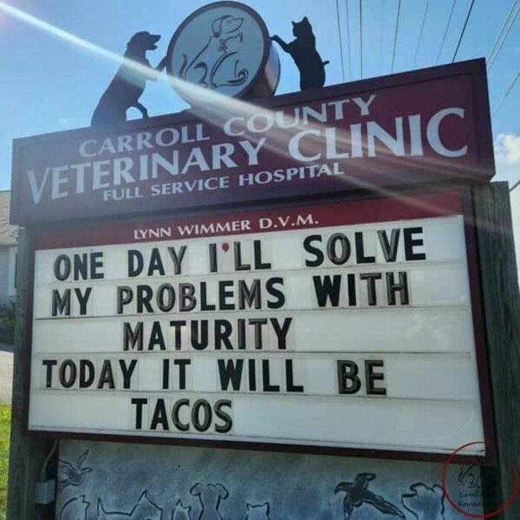 Funniest Vet Signs 