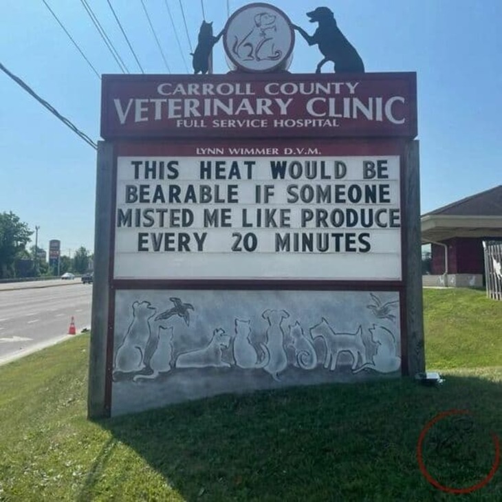 Funniest Vet Signs 