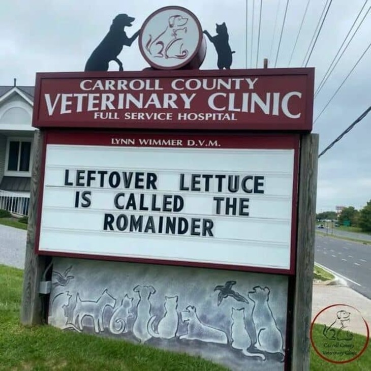 Funniest Vet Signs 