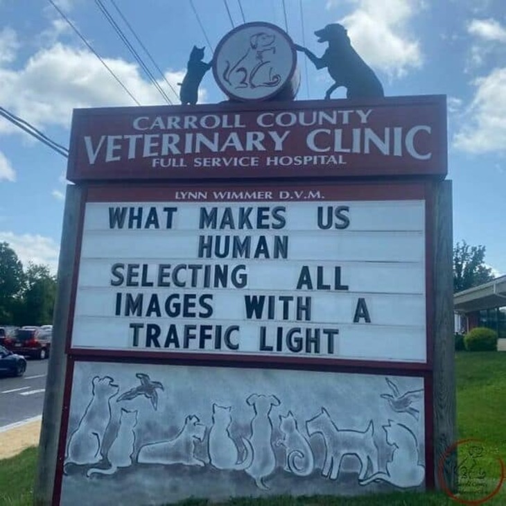 Funniest Vet Signs 