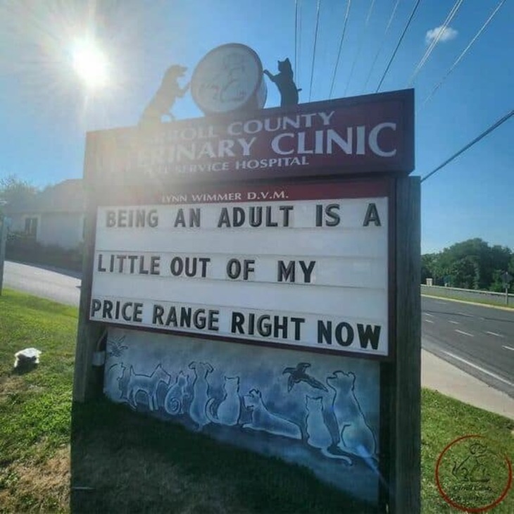 Funniest Vet Signs 